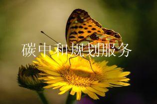 碳中和规划服务