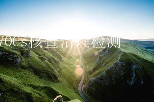 VOCs核查治理检测
