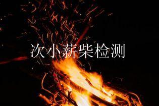次小薪柴检测