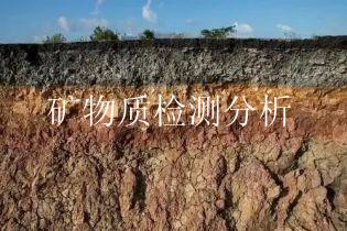 矿物质检测分析