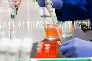 弹性材料酸性气体腐蚀测试