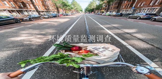 环境质量监测调查