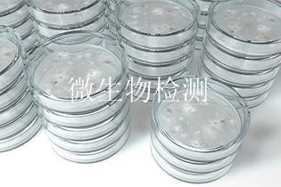 微生物检测