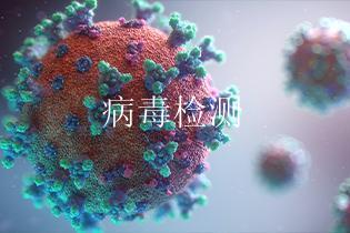 病毒检测