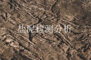 盐泥检测分析