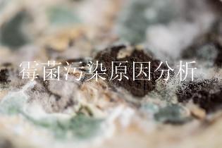 霉菌污染原因分析