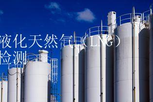 液化天然气（LNG）检测